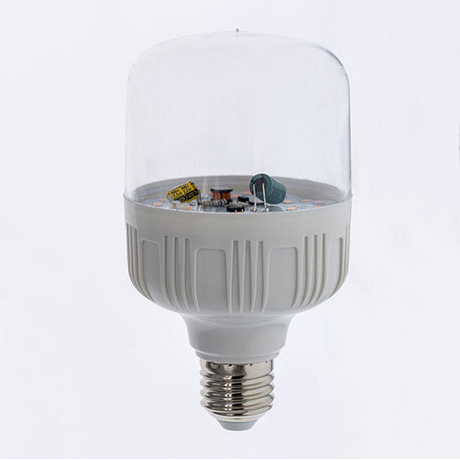 T80 LED花期灯